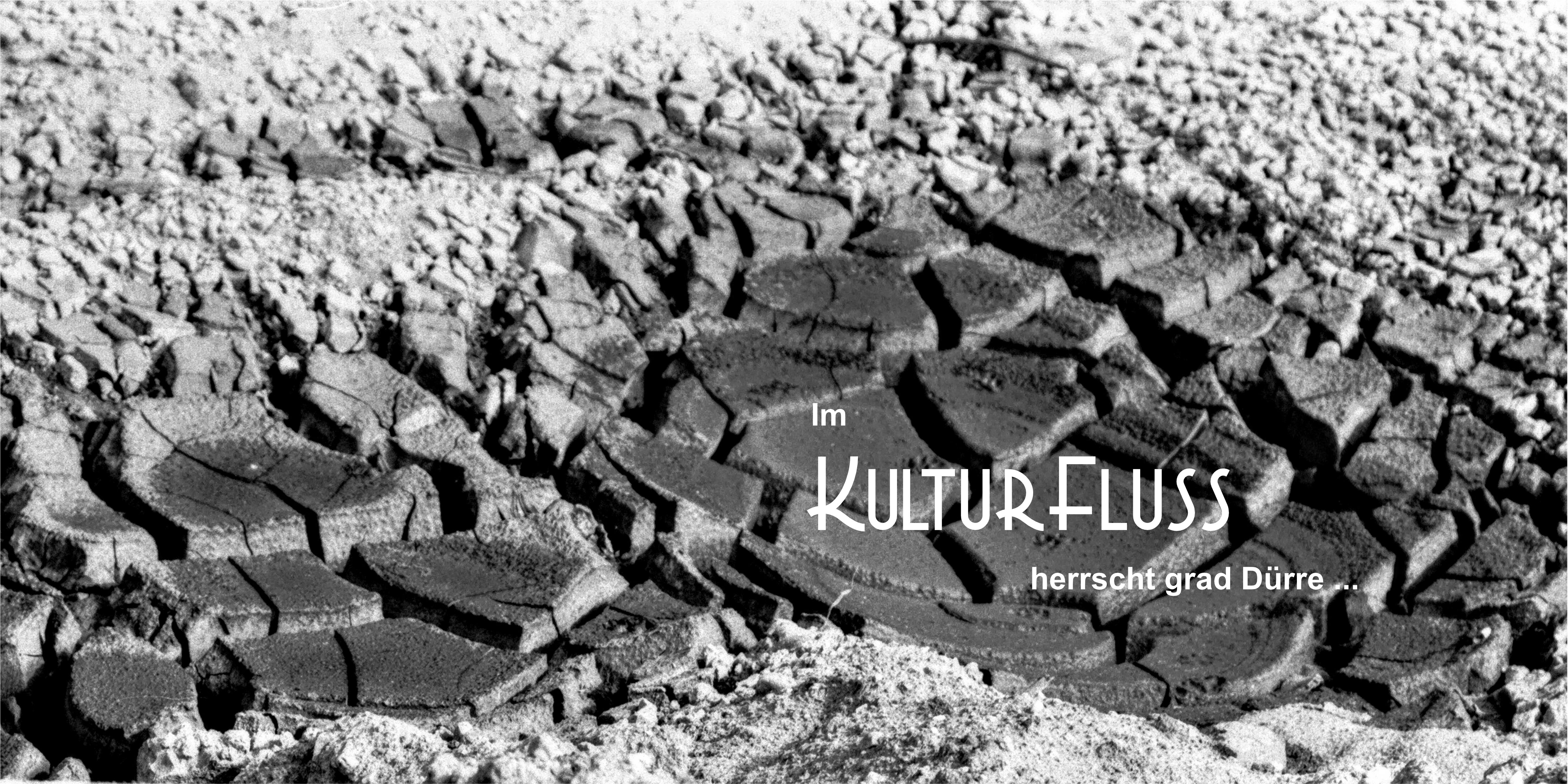 CoverDürre Seite001